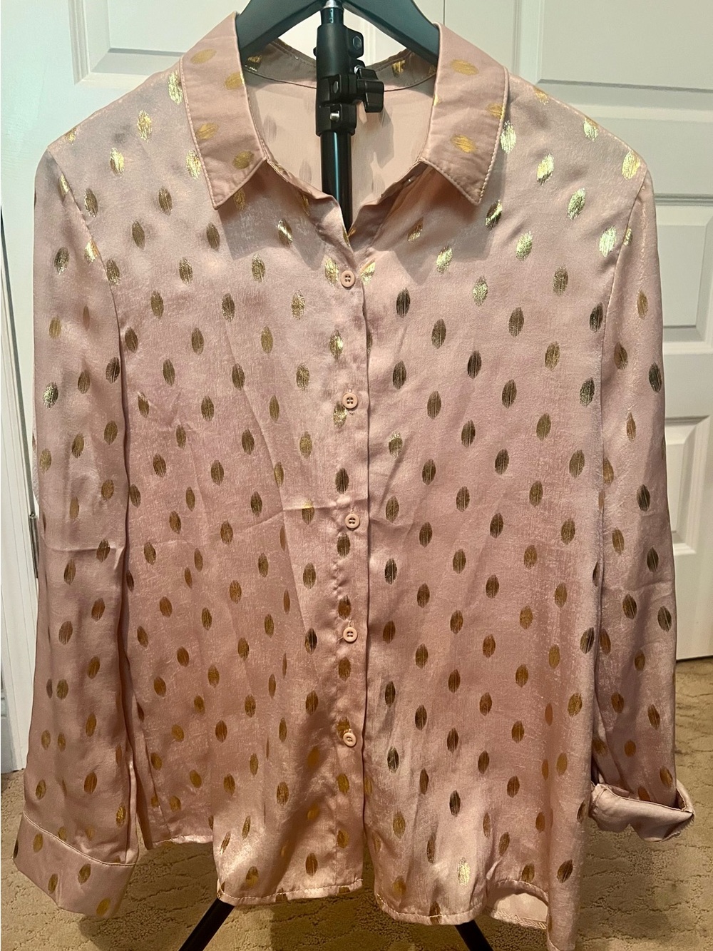 Women’s Satin Button-Front Blouse in Dusty Taupe with Gold Dot Accent